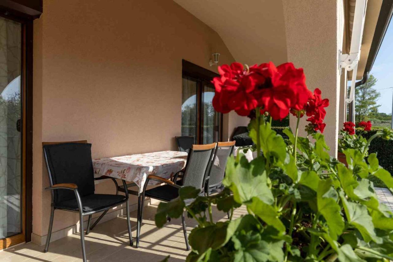 Country House Nina Nova Vas  Exterior photo